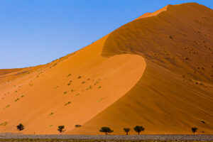 Sossusvlei (Depression of water - check) -- Oldest desert on the planet (check wikipedia for confirmation pls) 

Day off for guys, marketing images and playing,  shooting in sand dunes that is the UNESCO World Heritage.. Wildebeest in some images were introduced in late 2017

Trans-Namibia Expedition January 2018 Ray Zahab (CAN), Stefano Gregoretti (ITA) Run 2,200km / 1,367 miles across the country of Namibia