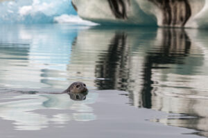 Island_101012_0855_7599